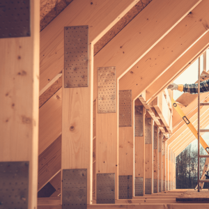 Houtbewerking Bouw van houten constructies Houten constructies repareren Timmerwerk